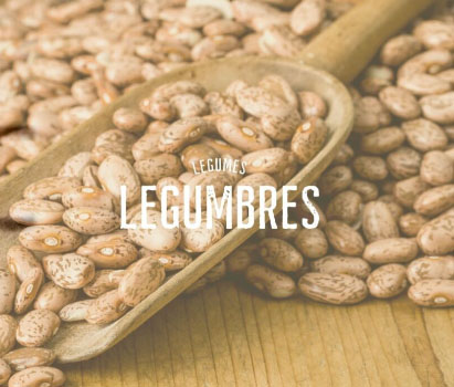 Legumbres de Calidad: Tradición y Sabor en Cada Cucharada