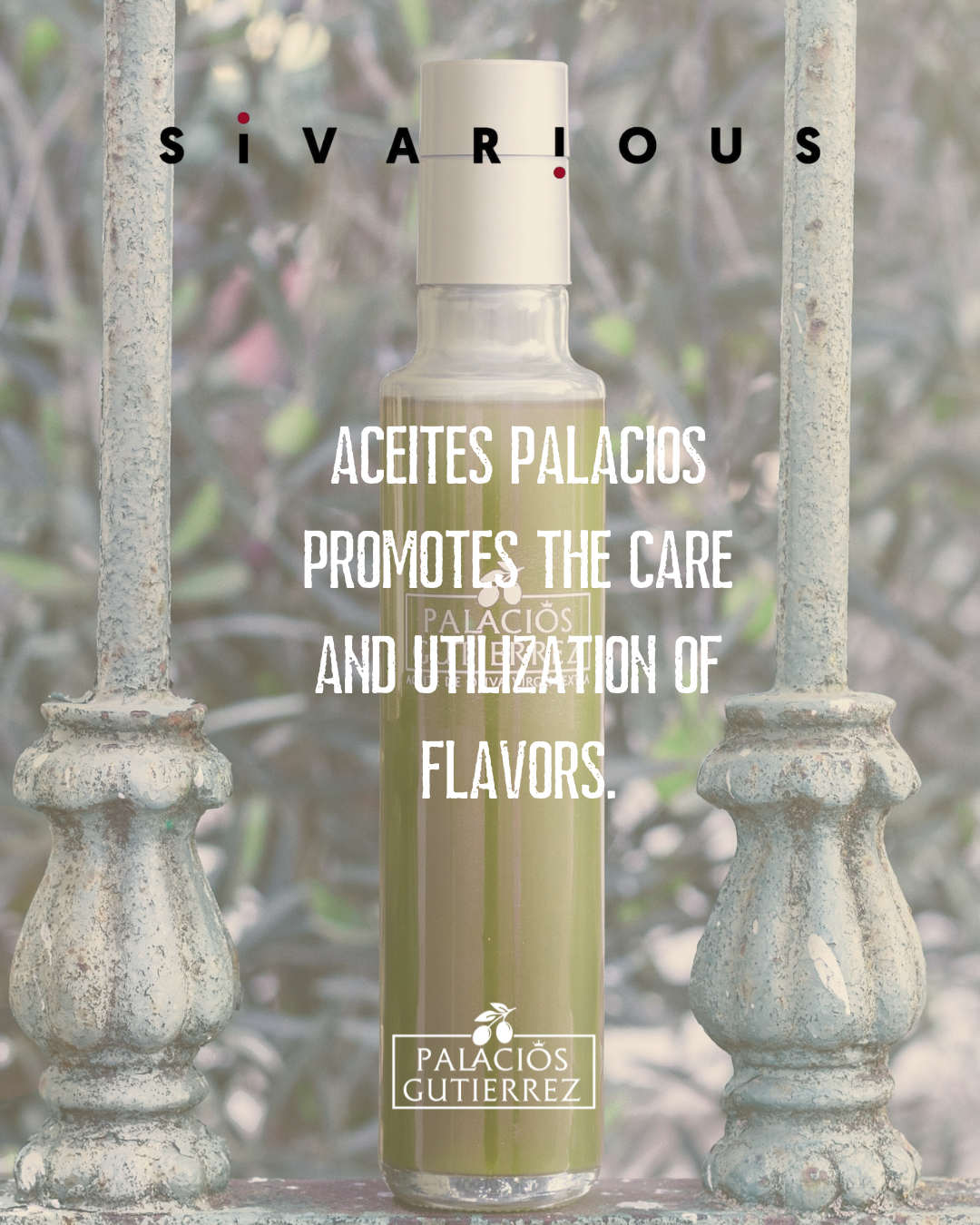 ACEITES PALACIOS FOMENTA EL CUIDADO Y EL APROVECHAMIENTO DE LOS SABORES